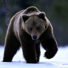 Схема вышивки «медведь»