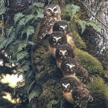 Схема вышивки «Les»