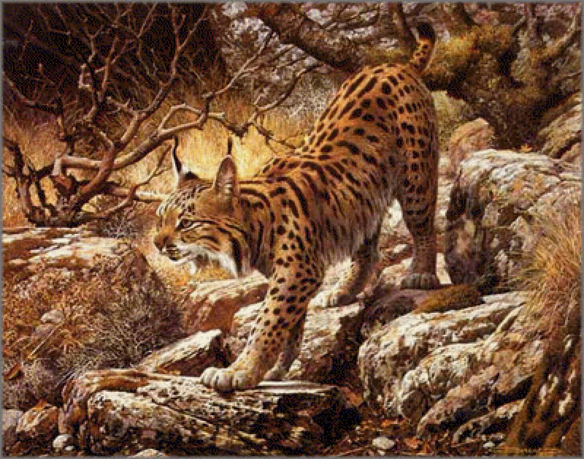 Les - предпросмотр