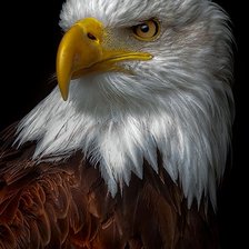 Схема вышивки «№1546713»