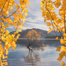 Схема вышивки «пейзаж»