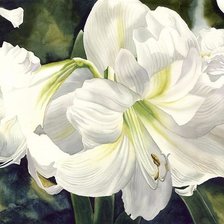 Схема вышивки «лилия»