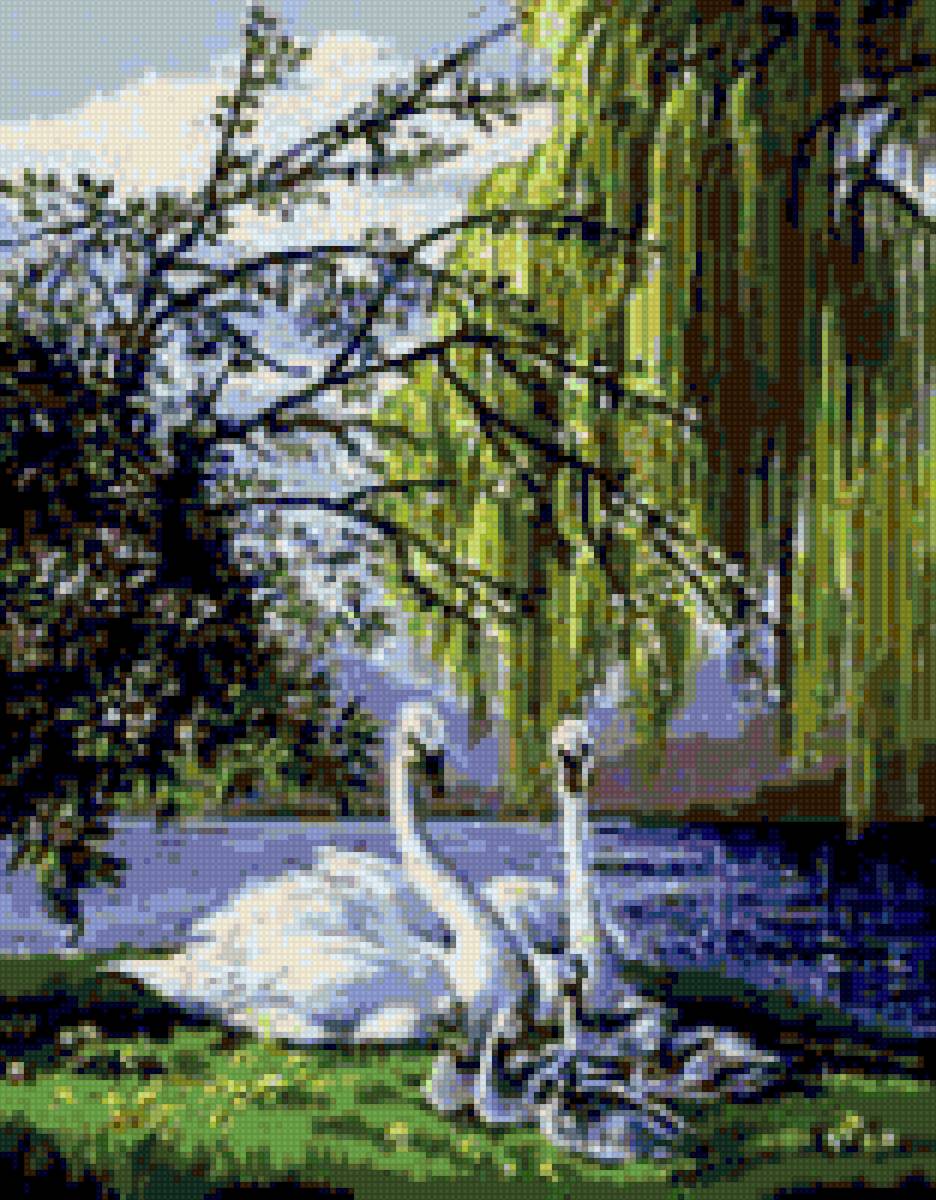 ЛЕБЕДИ - fauna priroda ptici - предпросмотр