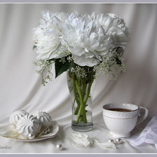 белые цветы