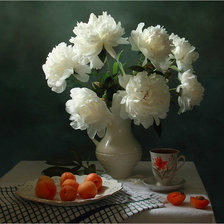 белые пионы