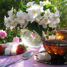 Схема вышивки «натюрморт»