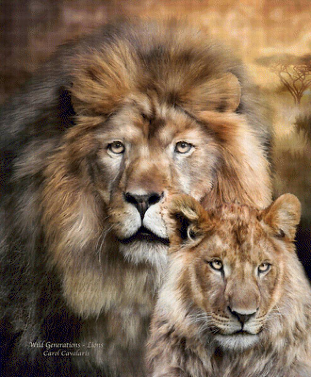 lwy - предпросмотр