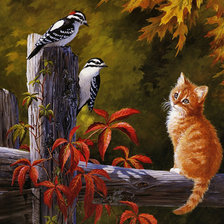 Схема вышивки «Котик»