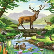 Схема вышивки «Животный мир»