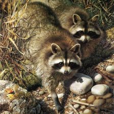 Схема вышивки «Les»