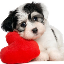 Схема вышивки «№1549232»