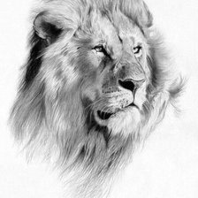 Схема вышивки «№1549277»