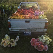 Схема вышивки «flowers»