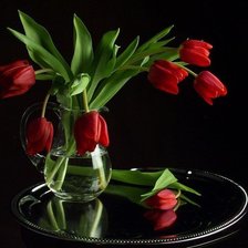 семь нот красоты