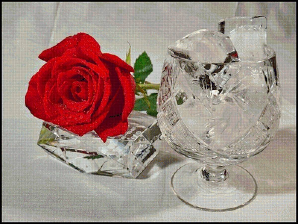 Роза с рюмкой - рюмка, роза, лед - предпросмотр