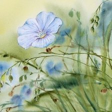 Схема вышивки «Цветы»