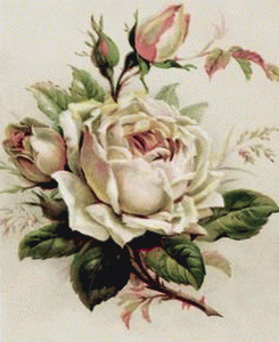 Роза - цветы, принт, для подушки - предпросмотр