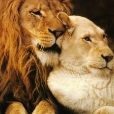 Схема вышивки «пара»