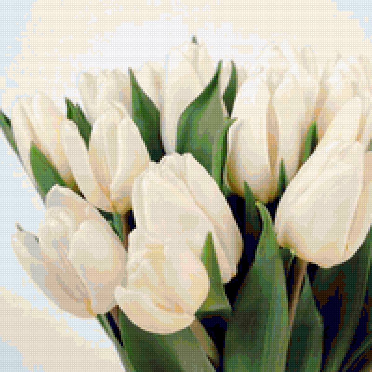 Тюльпаны - тюльпаны - предпросмотр