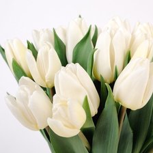 Схема вышивки «Тюльпаны»