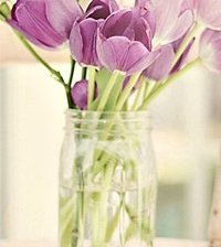 Схема вышивки «тьльпанчик»