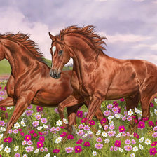 Схема вышивки «Лошади»