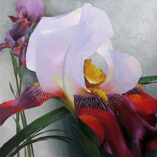 Схема вышивки «ирис»