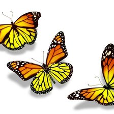 Схема вышивки «бабочки»