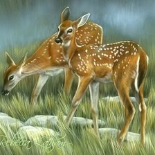 Схема вышивки «Оленята»