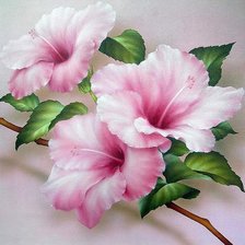 Схема вышивки «Ibišek»