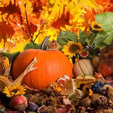 Осенний урожай