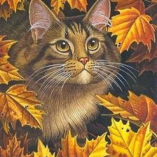 Схема вышивки «милее кошки - зверя нет»