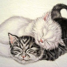 два котенка