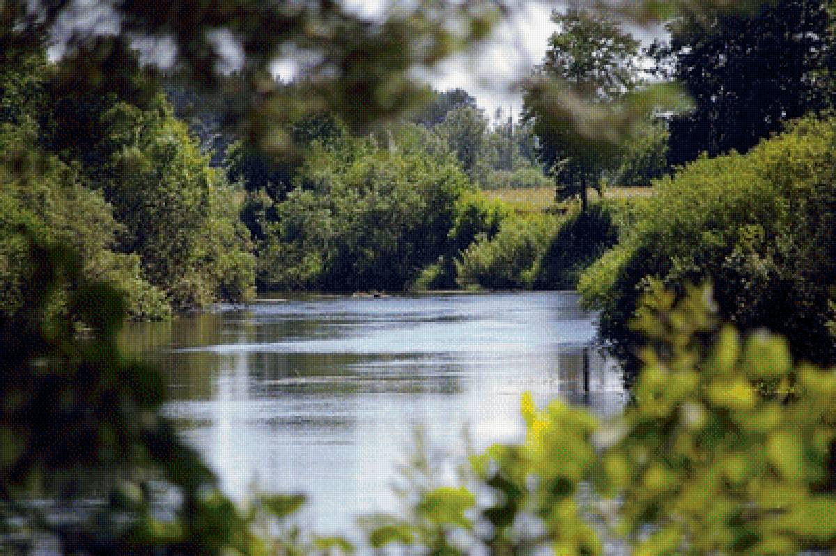 Уголок природы - лето лес озеро - предпросмотр