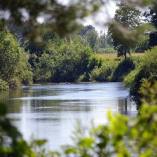 Уголок природы