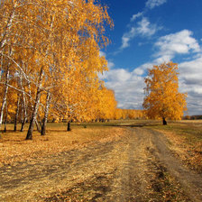 Схема вышивки «№1554244»