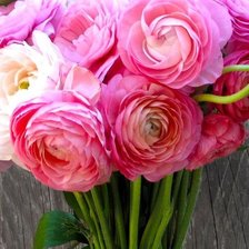 Схема вышивки «цветы»