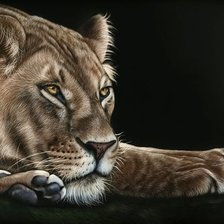 Схема вышивки «кисулька»