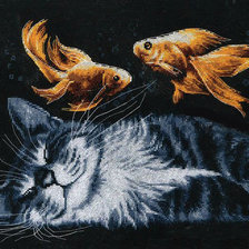 Схема вышивки «Котик»