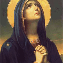 ვედრება