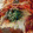 Предпросмотр схемы вышивки «maki» (№1555419)