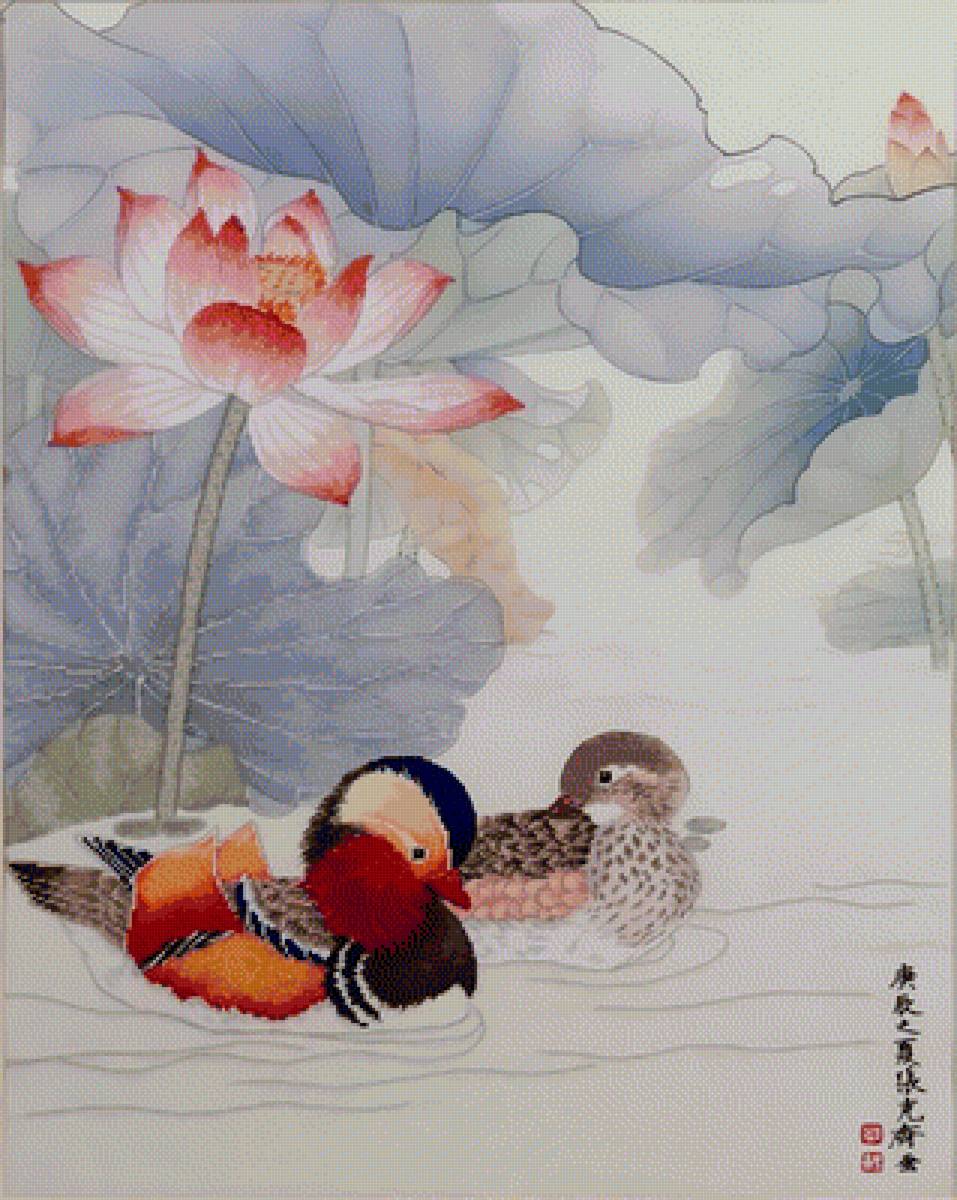 Вечная любовь - птицы, любовь, пара - предпросмотр