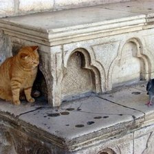 Схема вышивки «Охота»