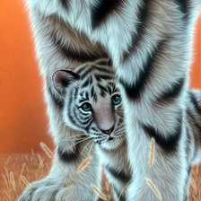 под защитой