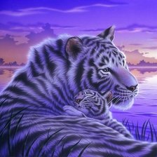 Схема вышивки «нежность»