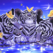 Схема вышивки «с бабочками»