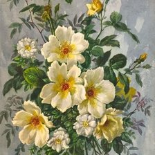 Схема вышивки «Šípková»