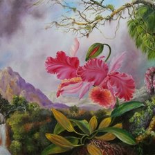 Схема вышивки «Красавица тропиков»