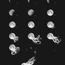 Схема вышивки «Лунасьминог»