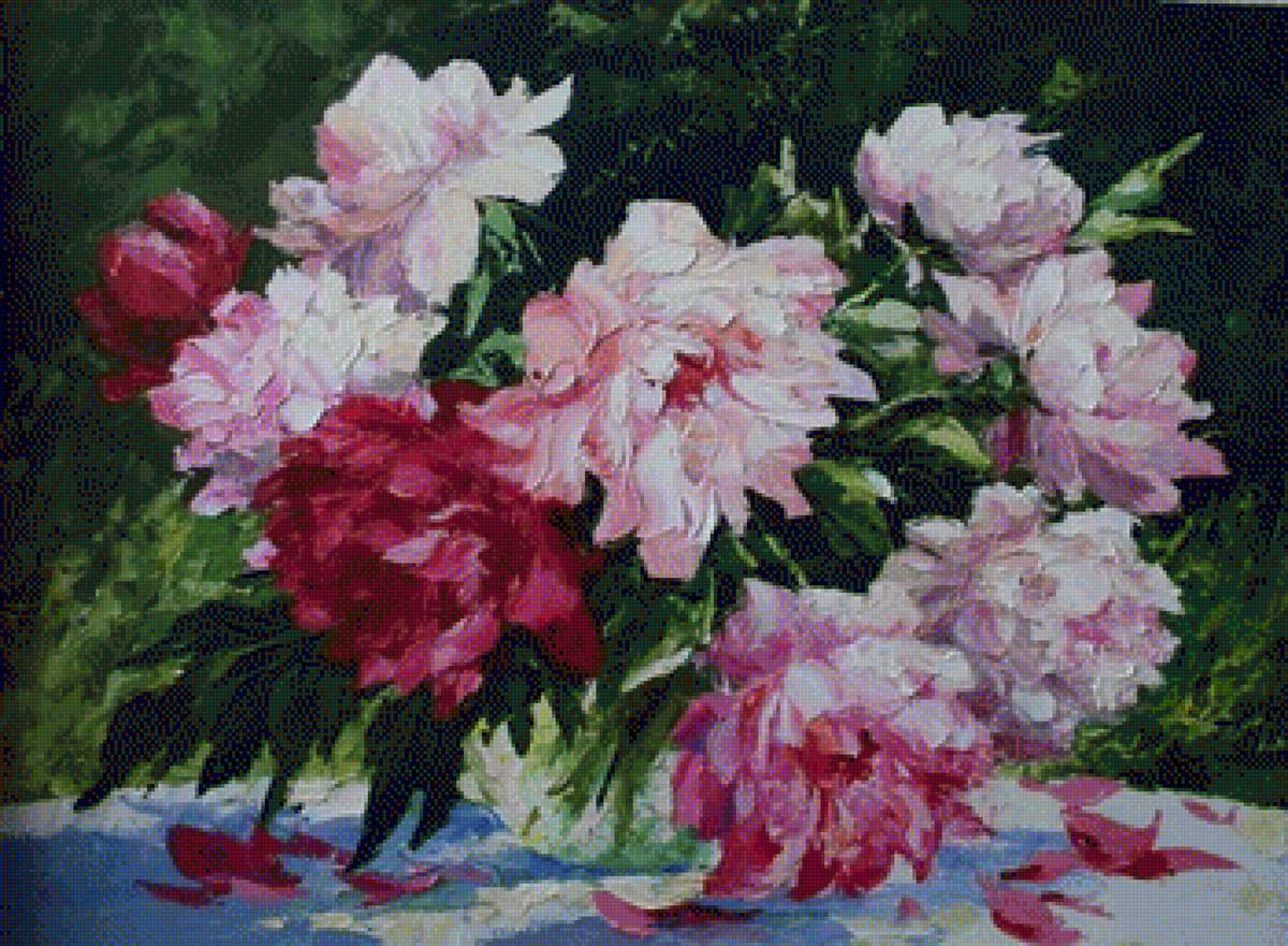 piwonie - предпросмотр